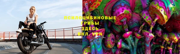 марки nbome Аркадак
